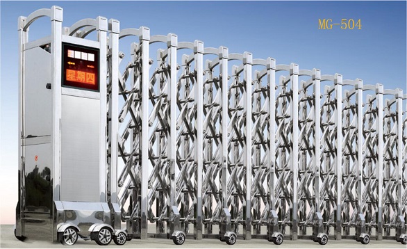 1584166347552561.jpg MG-504.jpg